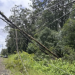 After Hurricane Lala power outages, can Hawaiʻi do better? After Hurricane Lala power outages, can Hawaiʻi do better?