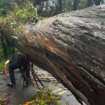 Tropical Storm Lala: Maui County updates on closures, outages Tropical Storm Lala: Maui County updates on closures, outages