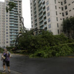 Oahu road closures as Lala brings downed trees, flooding Oahu road closures as Lala brings downed trees, flooding