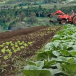 Hawaiʻi Island Agrifood Summit offers free 2-day program