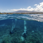 Hawaii reef insurance pays out after Hurricane Lala
