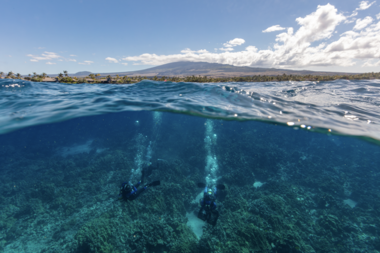 Hawaii reef insurance pays out after Hurricane Lala Hawaii reef insurance pays out after Hurricane Lala