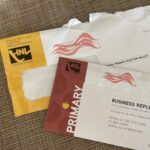 Maui illegal voting case: Second immigrant pleads not guilty