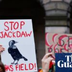 Jackdaw gasfield approval expected this month, sources say Jackdaw gasfield approval expected this month, sources say