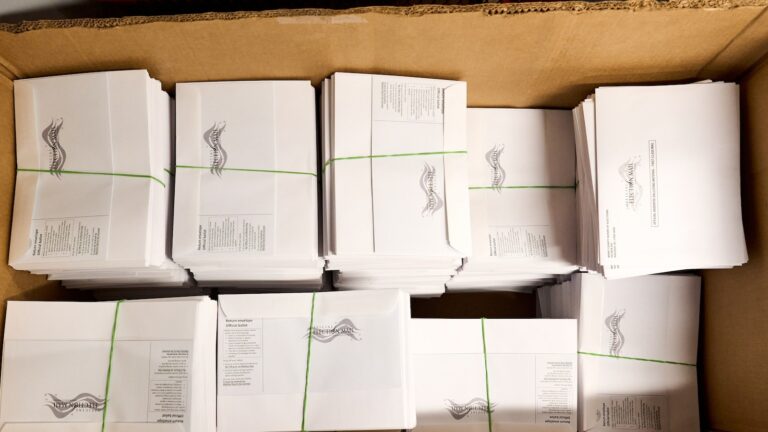 Judge extends block on Trump mail voting order before midterms Judge extends block on Trump mail voting order before midterms