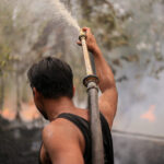 Borneo wildfires threaten rare primates and peat forests Borneo wildfires threaten rare primates and peat forests