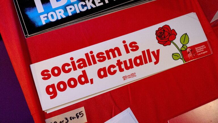 Democratic Socialists of America back 65 state hopefuls