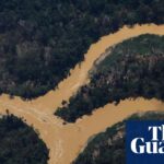 Study finds more rain less river flow in many waterways