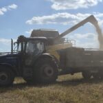 Black Sea attacks choke Ukraine, Russia grain harvests